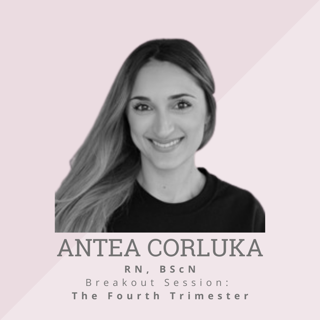 Antea Corluka Antea Corluka