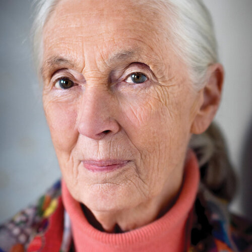 Dr Jane Goodall, DBE. Dr Jane Goodall, DBE.