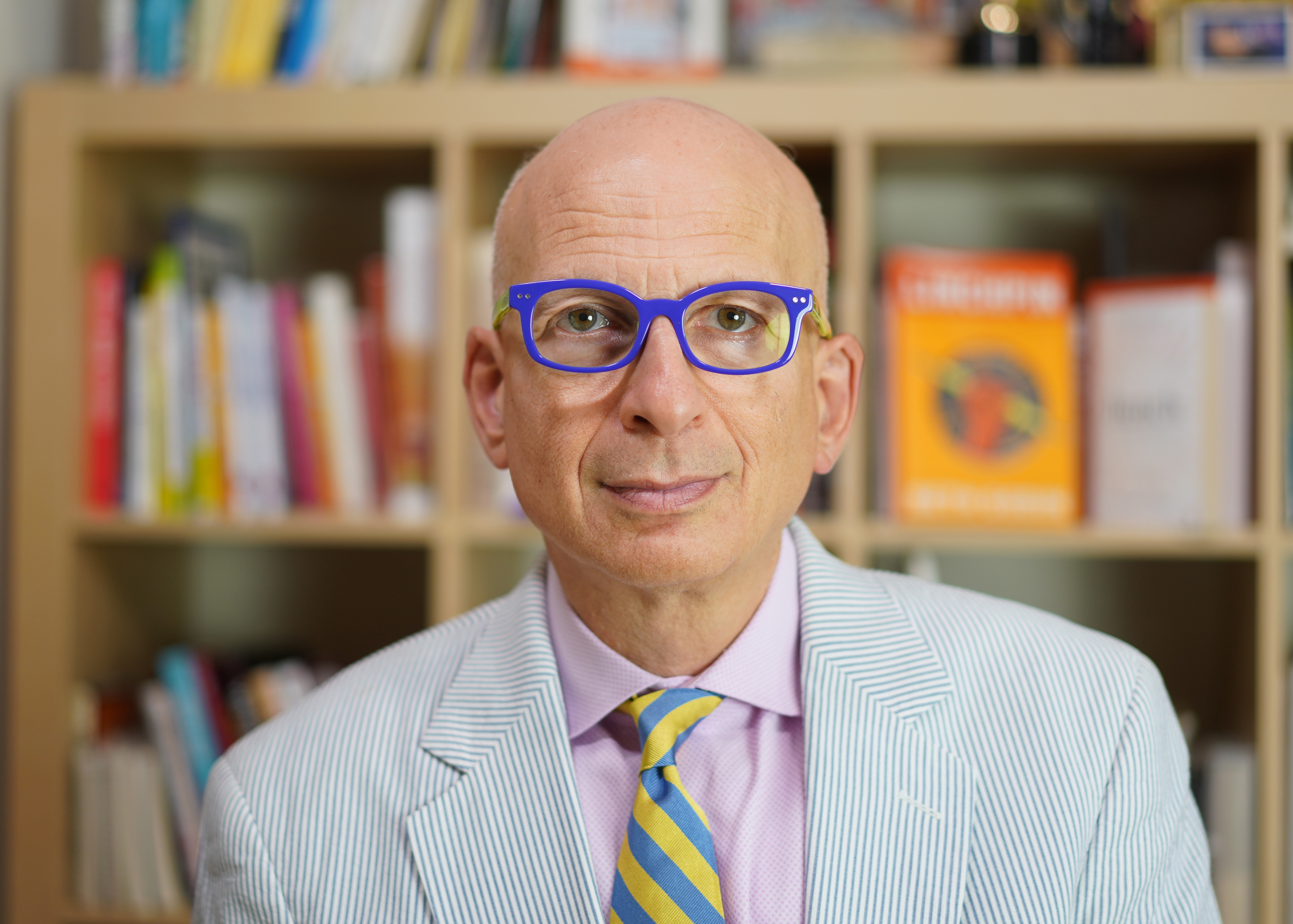 Seth Godin Seth Godin