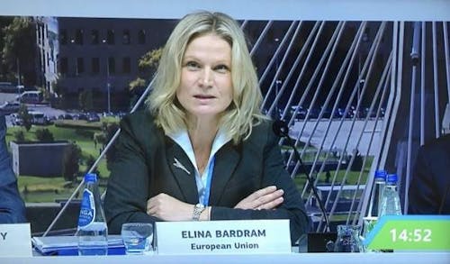 Elina Bardram